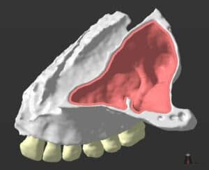 Anatomic representation